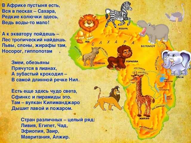 Загадки про африку и про животных африки для детей