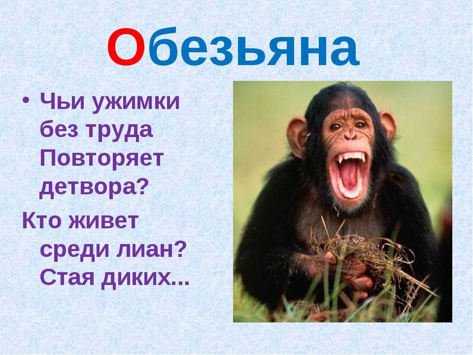 Рассказ про обезьяну для детей 6-7 лет