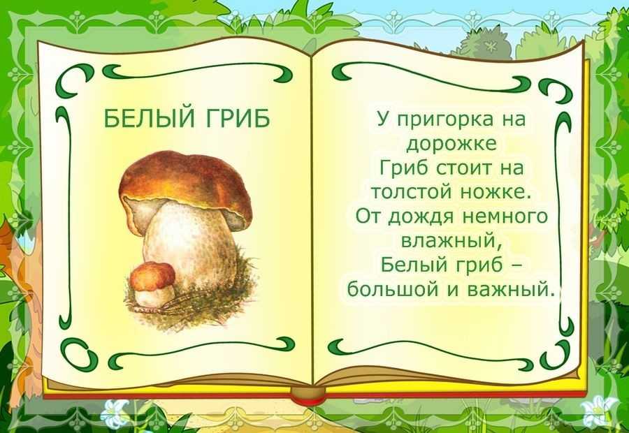 Загадки про грибы