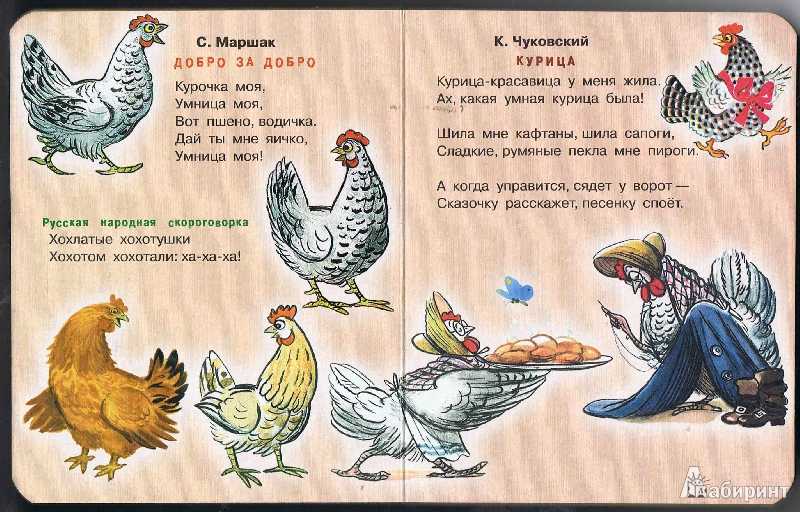 Детские загадки про курицу