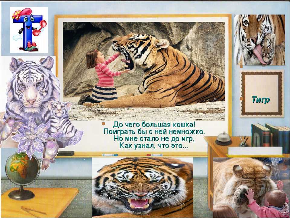 Стихотворения про тигров для детей