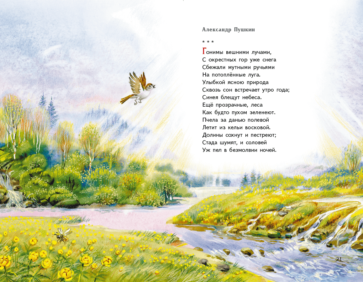 Стихи про ромашку для детей короткие, красивые, нежные, о ромашках полевых русских поэтов