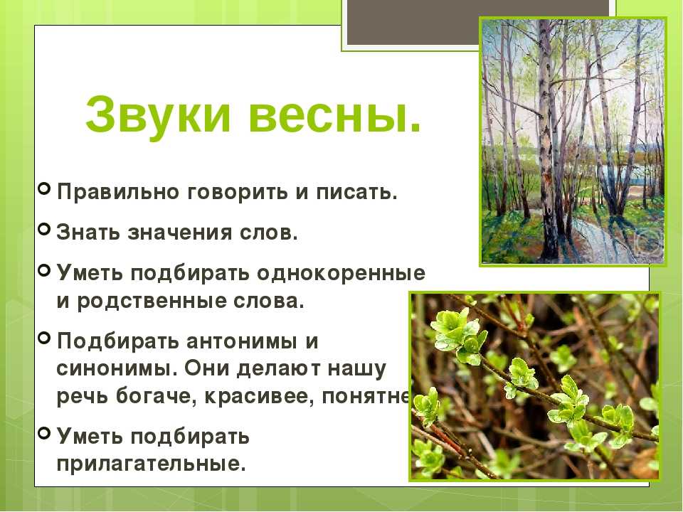 Текст описание весеннего. Описание весны. Весенний лес текст. Сочинение в лесу весной. Весенний лес стих Шарыгина.
