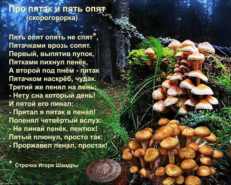Сказки про грибы