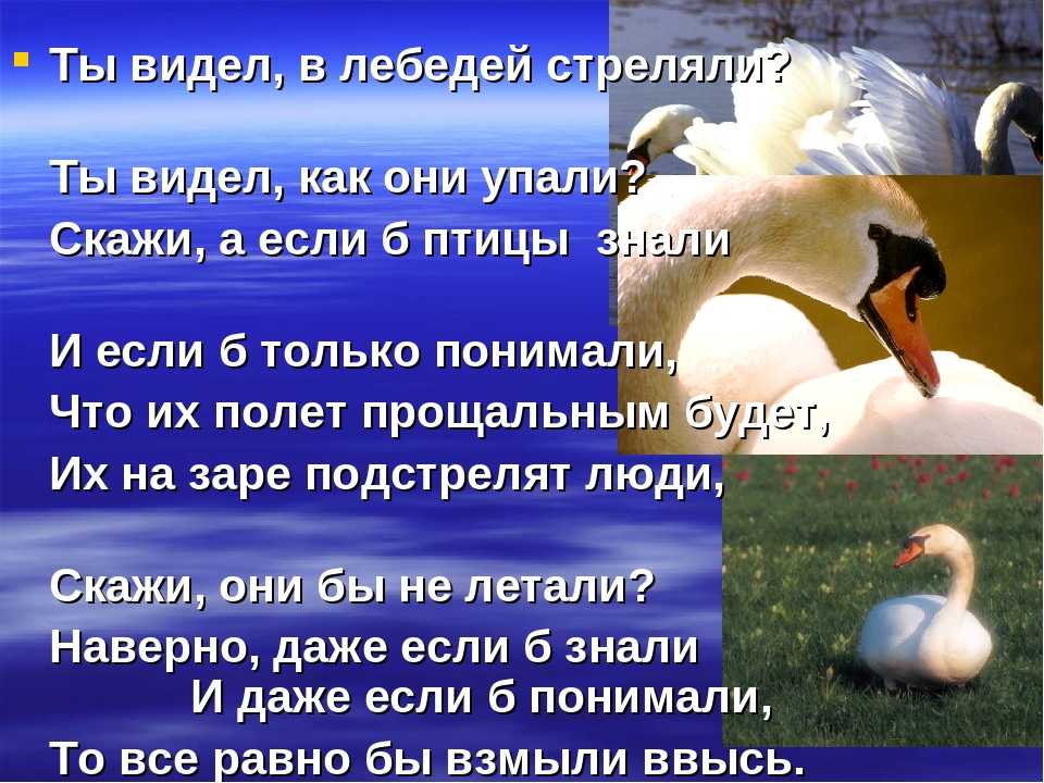 Песня упала птиц. Стих о лебеде. Стих про лебедя. Белый лебедь стих. Пословицы про лебедя.