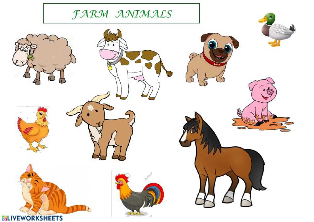 Загадки про животных на английском (16 загадок с переводом)