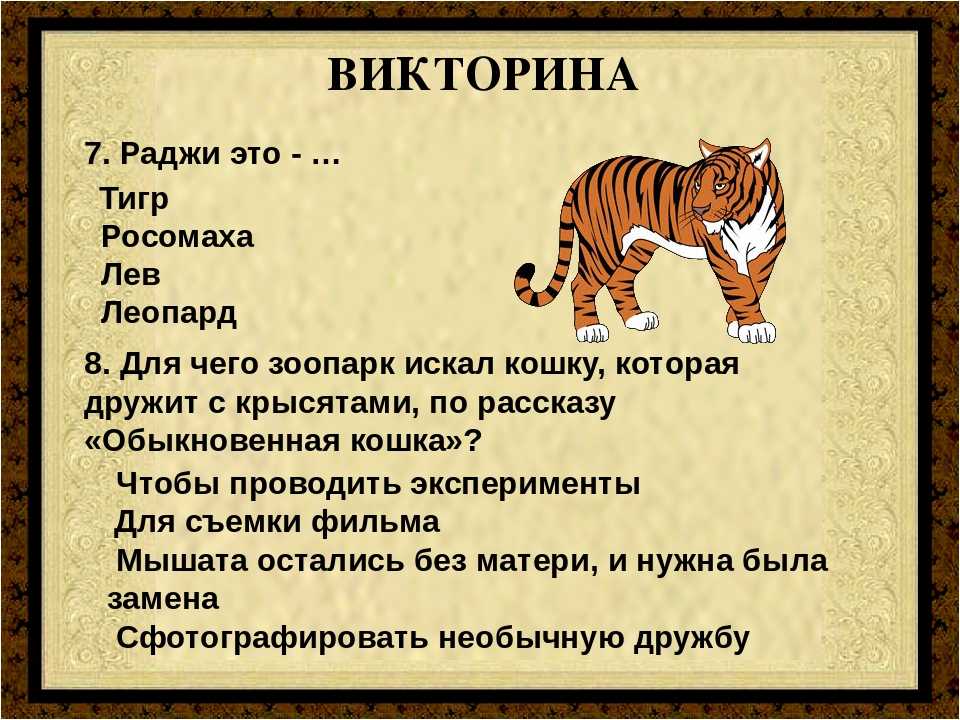 Загадка про тигра с прилагательными