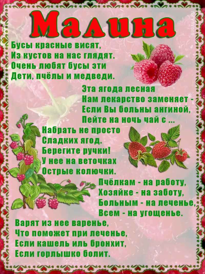 Стихи детские про ягоды и фрукты