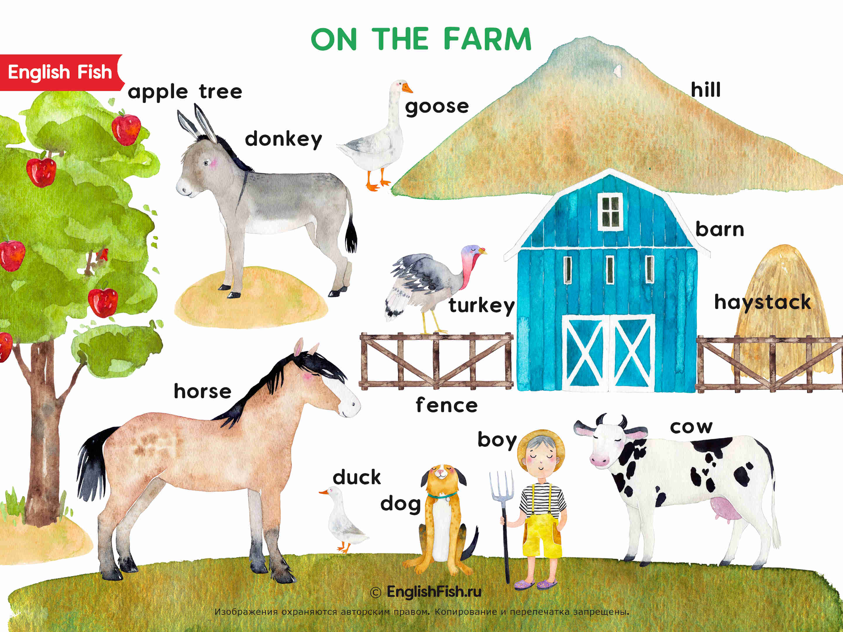 Домашние животные (farm animals) в английских стихах и загадках