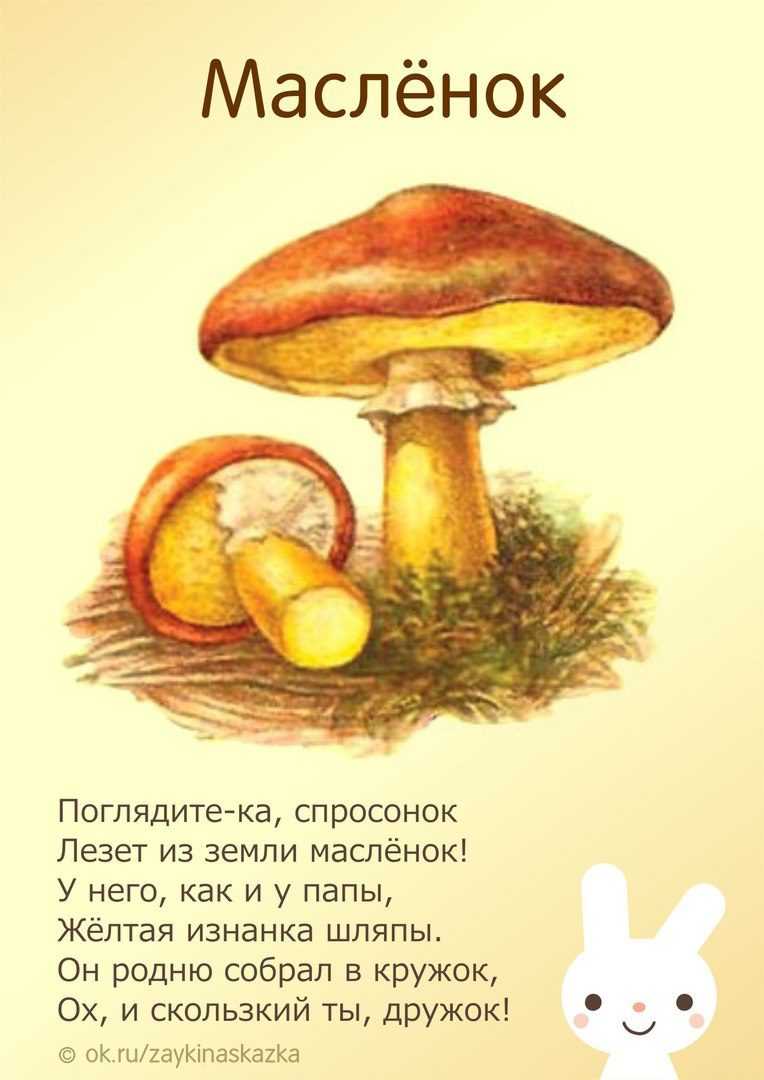 Дидактический материал по теме «грибы. ягоды» 5-7 лет - plandou.ru