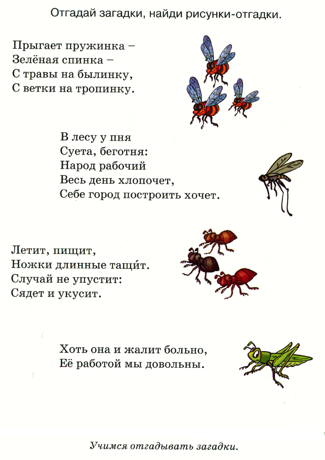 Загадки про насекомых для детей 6-7 лет с ответами - детский час