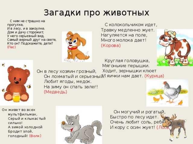 Загадки про животных для детей с ответами: 100 загадок в стихах