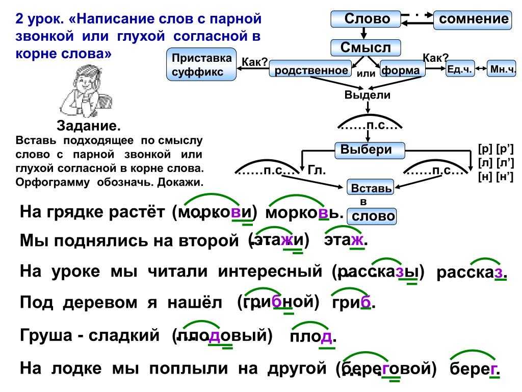 Парная согласная по глухости звонкости примеры слов