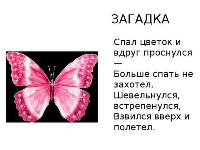 Детские загадки про бабочку и ее разновидности. детские загадки про бабочку и ее разновидности загадка про бабочку на белорусском языке