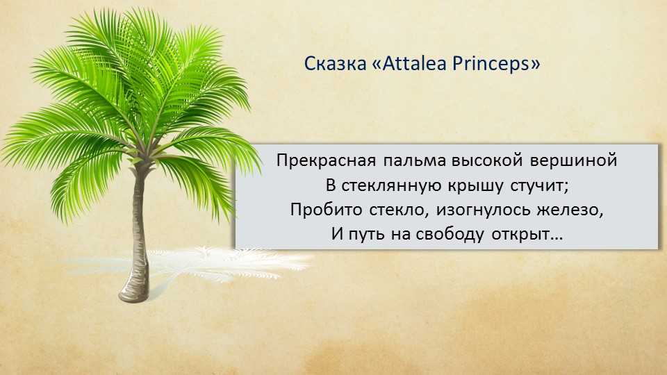 Всеволод михайлович гаршин attalea princeps: краткое содержание