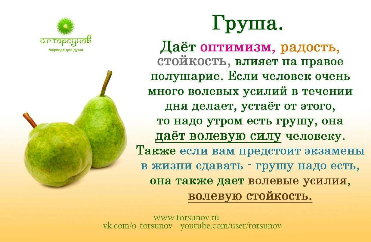 Стихи про фрукты и овощи на английском – kenglish.ru - для родителей и для детей. - club-detstvo.ru - центр искусcтв и творчества марьина роща