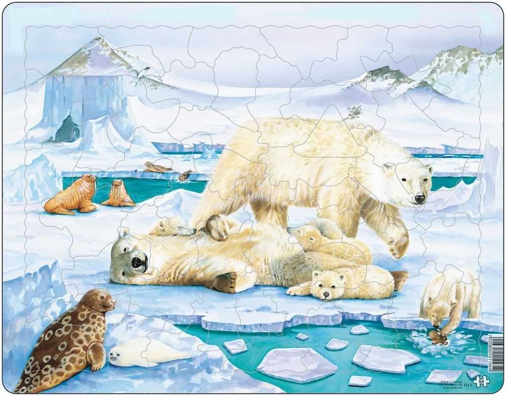 Путешествие на северный полюс или увлекательные занятия на тему «арктика» для детей – жили-были