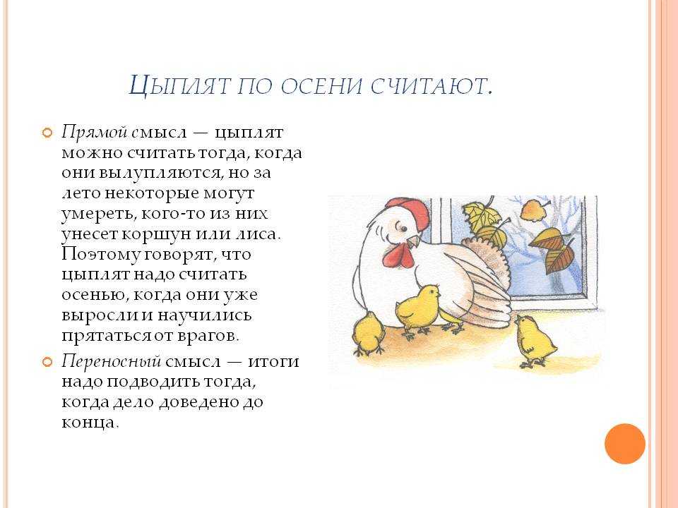 Загадка про цыпленка - сборник детских головоломок