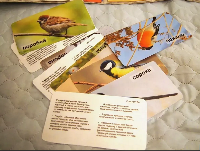 Лэпбук «зимующие и перелётные птицы»: стимулируем интерес детей к природе