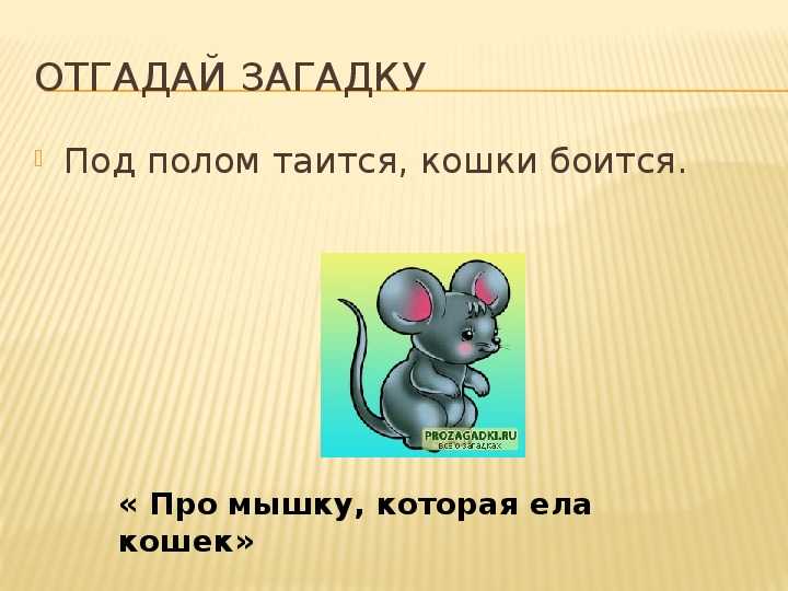 Мышь имя прилагательное. Загадка про мышку. Загадка про мышь. Загадка про мышку для детей. Загадка про мышь для детей.