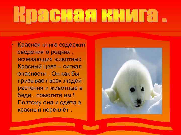 Редкие виды животных из красной книги россии