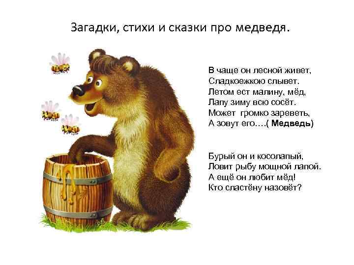 Загадки о медведе с ответами – 50 самых лучших загадок – ladyvi.ru