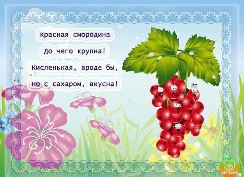 Голубика ягода. описание, особенности, полезные свойства и выращивание голубики | сад и огород.ру