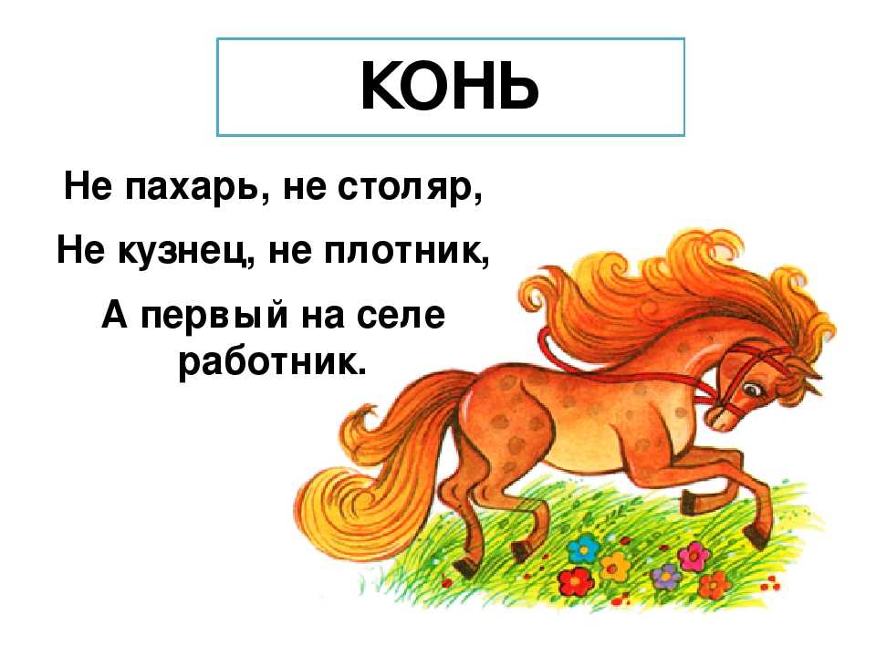 Загадки о волке с ответами – 50 самых лучших загадок – ladyvi.ru