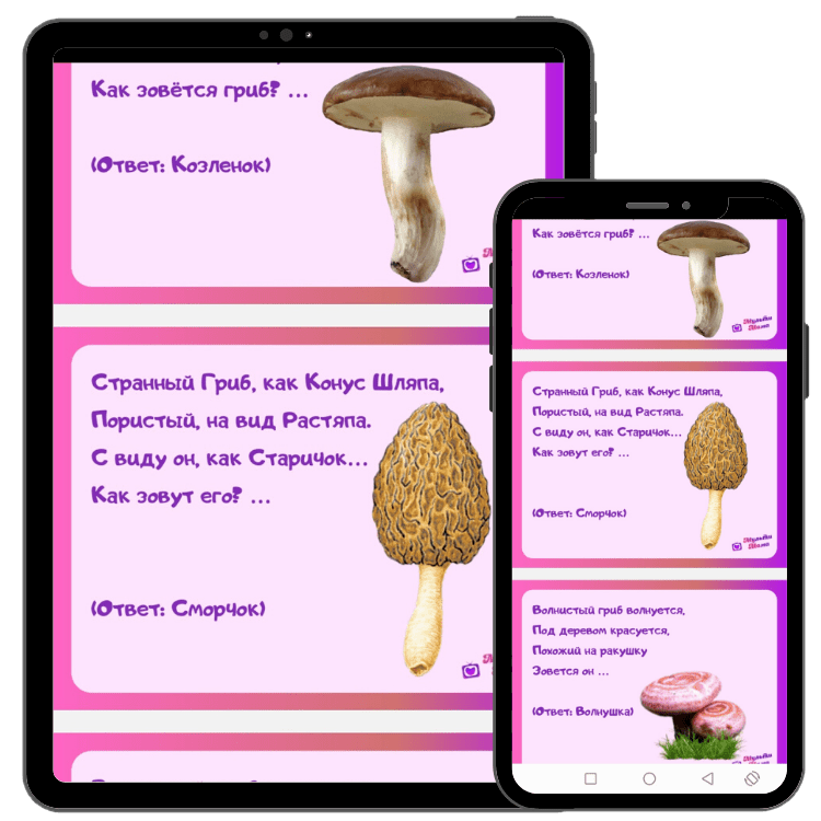 Загадки про грибы с ответами для дошкольников и детей постарше