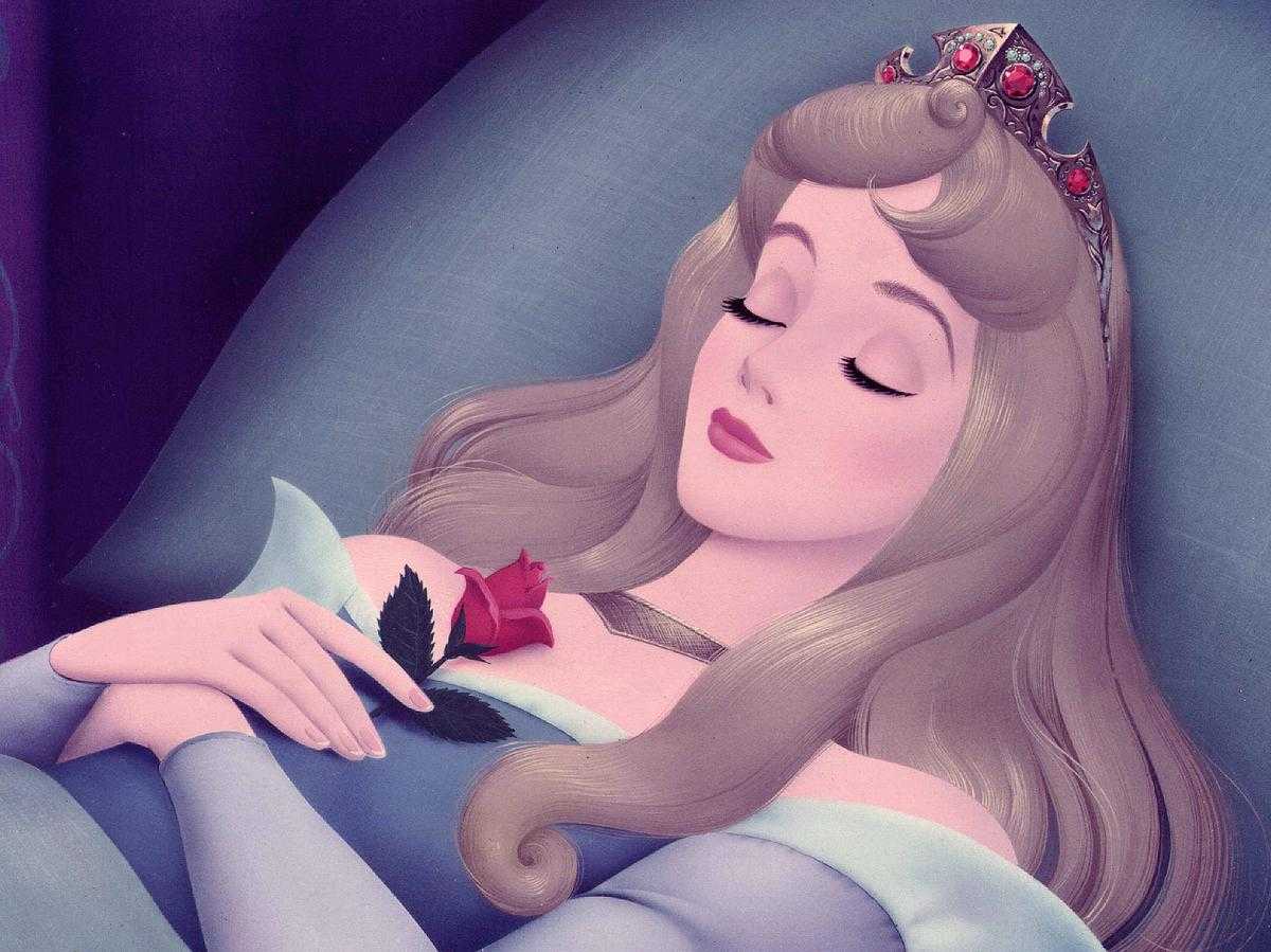 «спящая красавица» краткое содержание для читательского дневника по сказке перро (1 класс) – пословицы, главная мысль, отзыв, сюжет