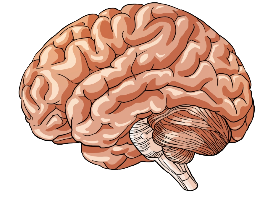 25 загадок для проверки прочности мозга (сложные и не очень)