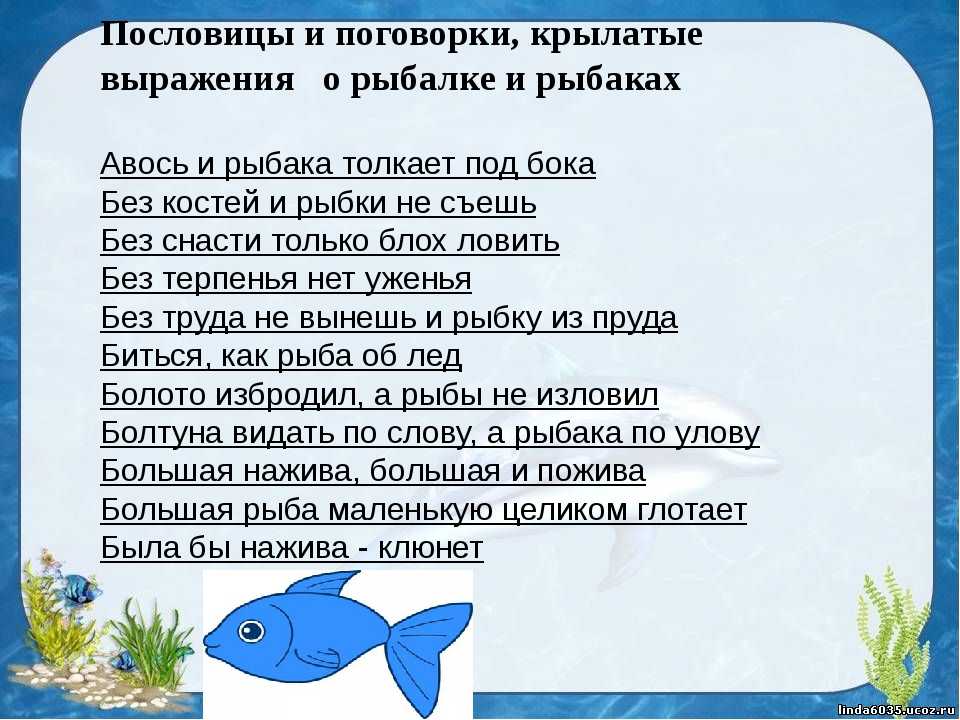 Текст 1 рыбка. Пословицы и поговорки о рыбе. Поговорки про рыбу. Пословицы и поговорки о рыбалке и рыбаках. Пословицы и поговорки про рыбалку.