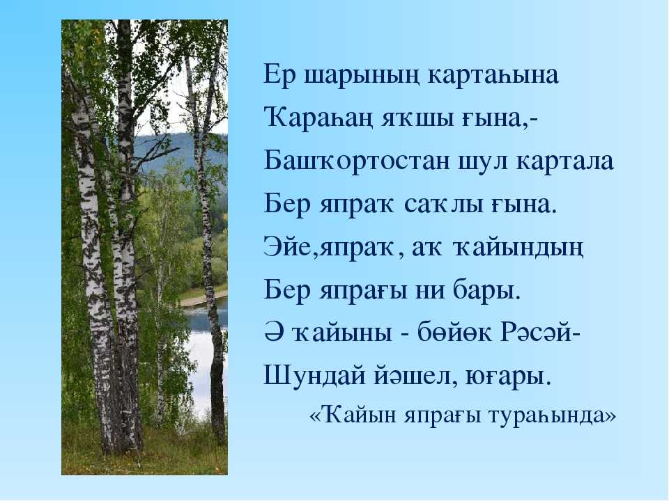 Поздравления с днём рождения на башкирском языке: поздравления с днём рождения на башкирском языке ~ поздравинский - агрегатор поздравлений для всех праздников