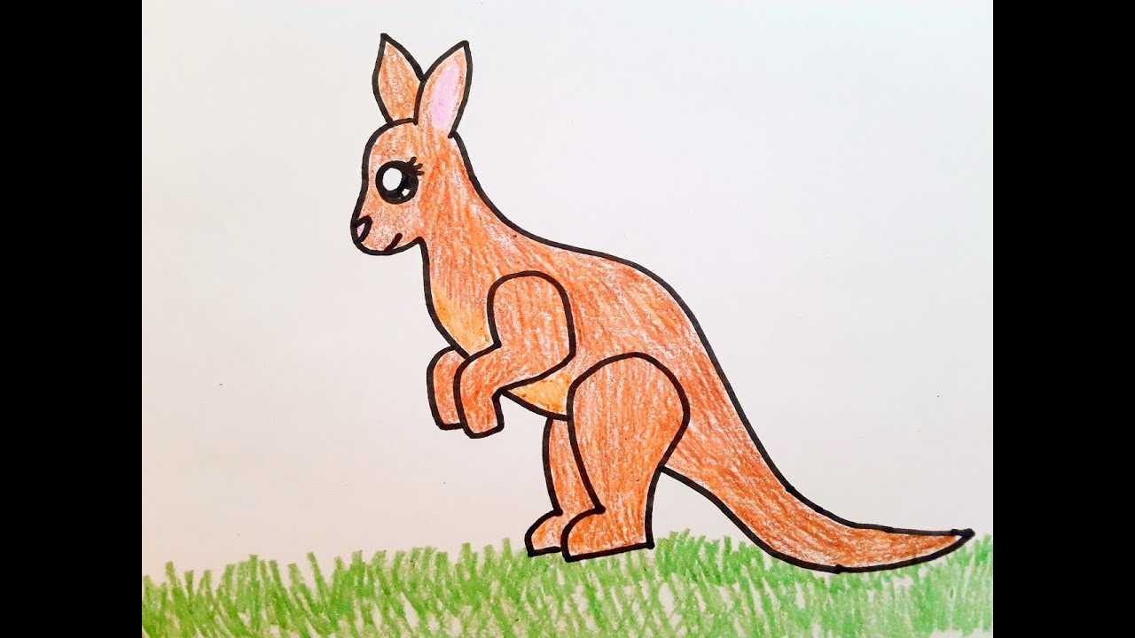 Как нарисовать кенгуру карандашом поэтапно?||year|imagesnameskak-narisovat-kenguru-karandashom-poetapno/imagesnames