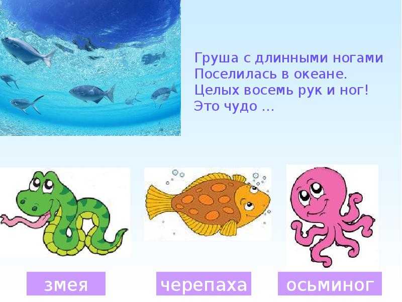 Загадки про море для детей с ответами
