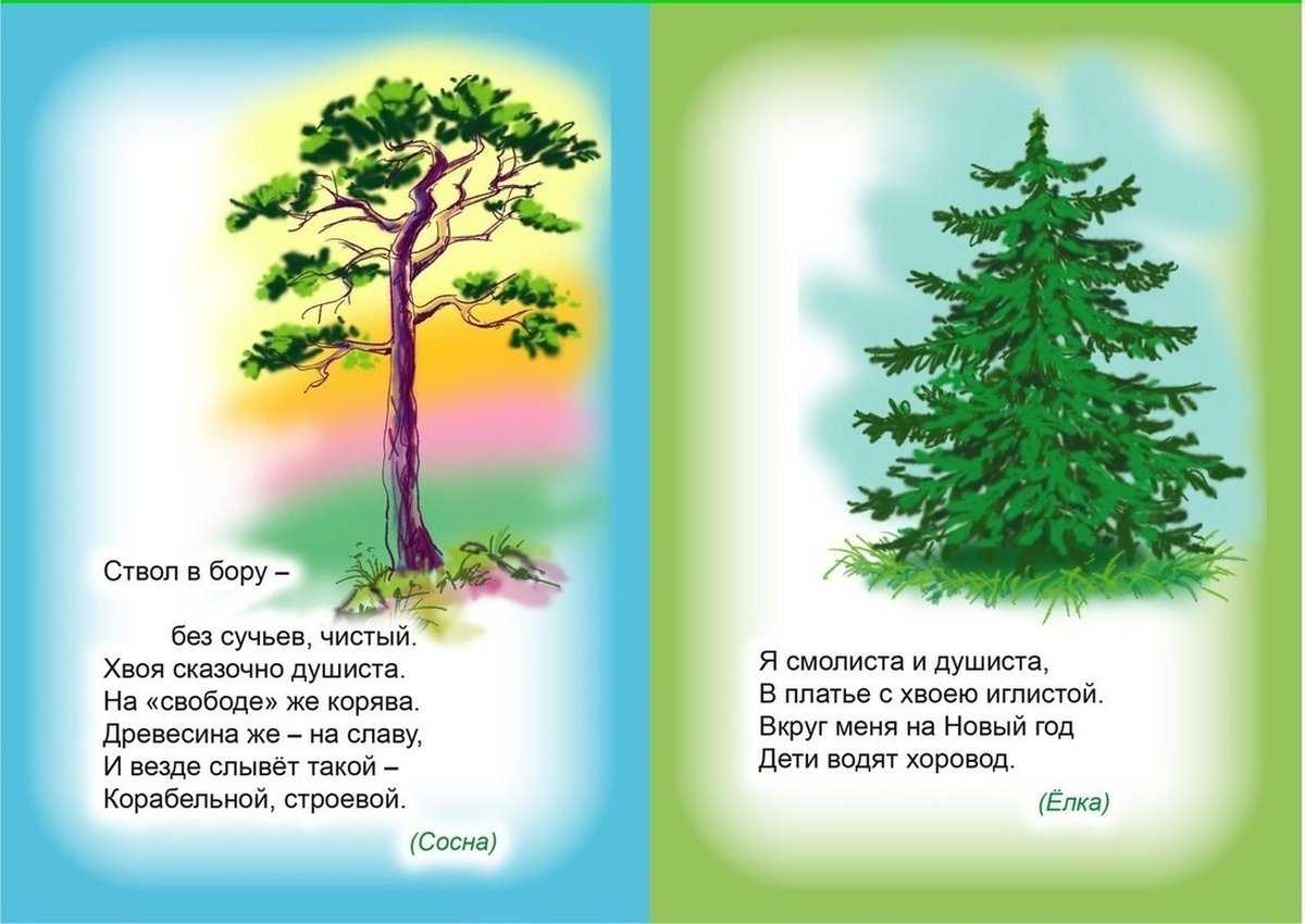 Стихи детские про деревья