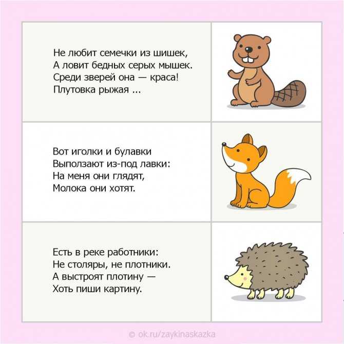 Загадки о животных для детей