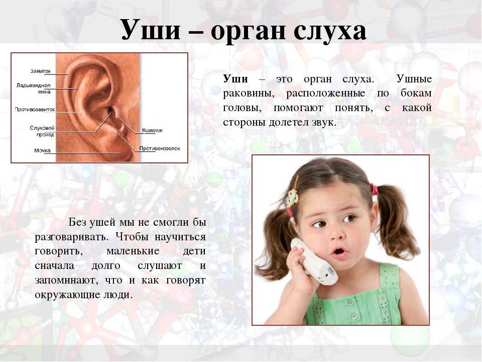 Загадки для детей 5-7 лет с ответами