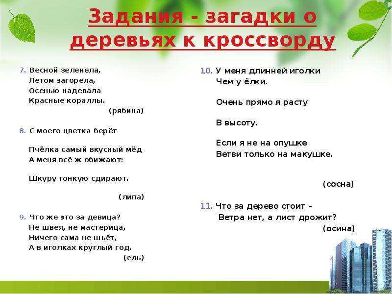 Загадки про зайца с ответами – 45 самых лучших загадок – ladyvi.ru