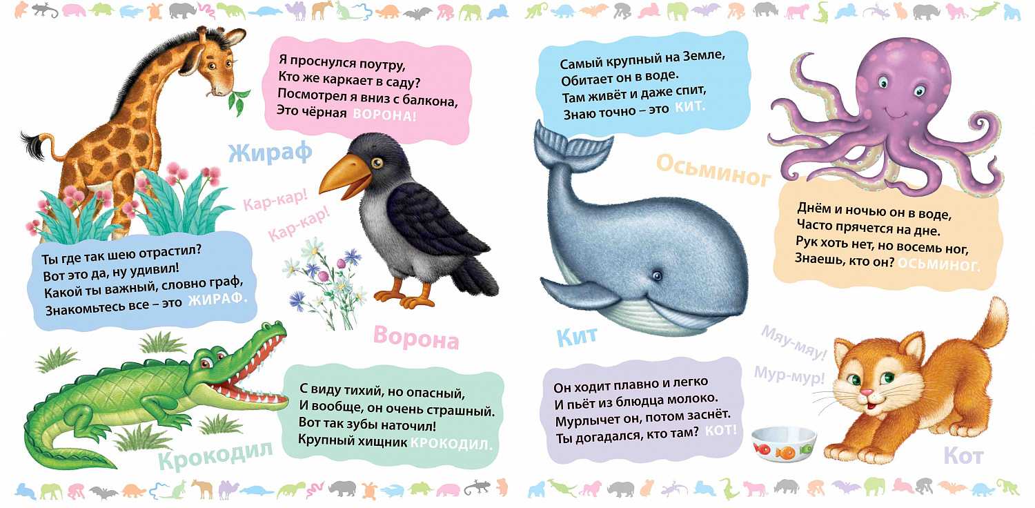 Загадки для детей про лесных птиц - sto5sot