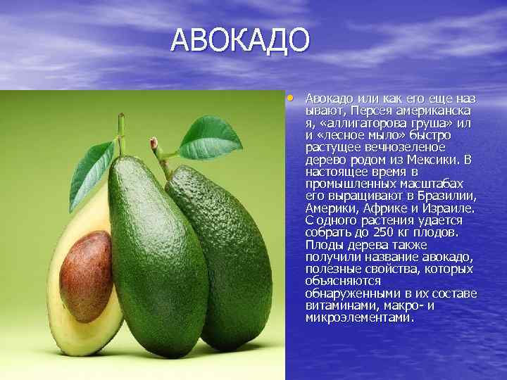 Как чистить и есть авокадо правильно, с чем кушать авокадо | вести