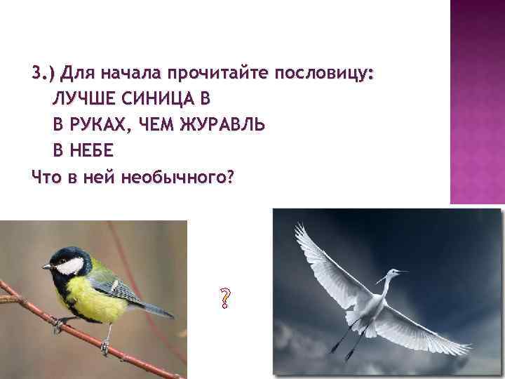 Мир животных_1: пословицы и поговорки про птиц