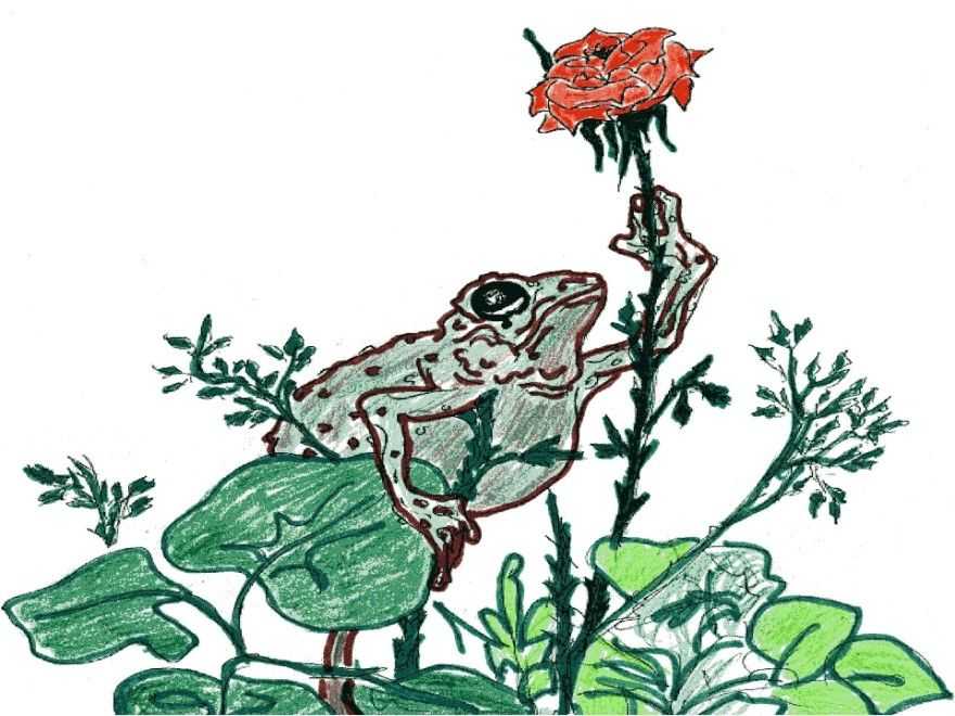 Гаршин, "сказка о жабе и розе": краткое содержание