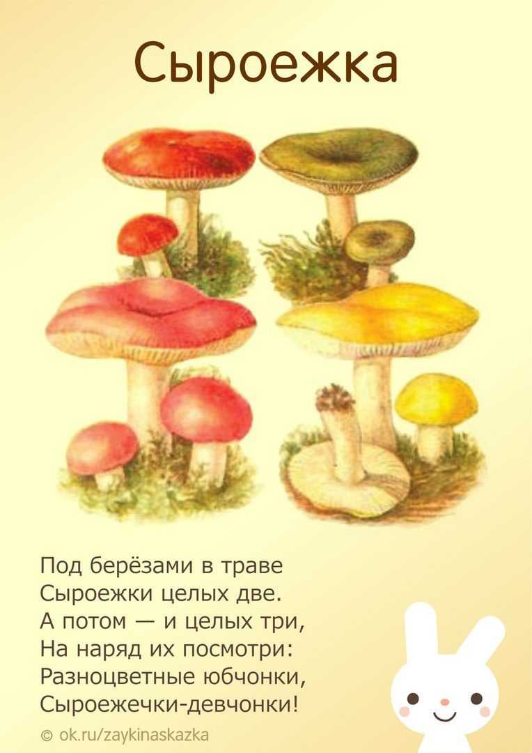 100 стихов про грибы: изучаем дары природы