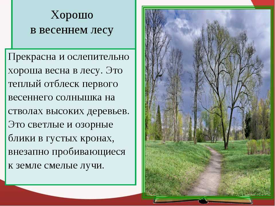 Текст описания 5 7 предложений. Сочинение про весну. Сочинение в лесу весной. Лес весной описание.