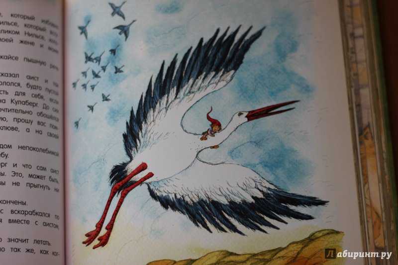 Книга чудесное путешествие нильса с дикими гусями читать онлайн бесплатно, автор сельма лагерлёф – fictionbook