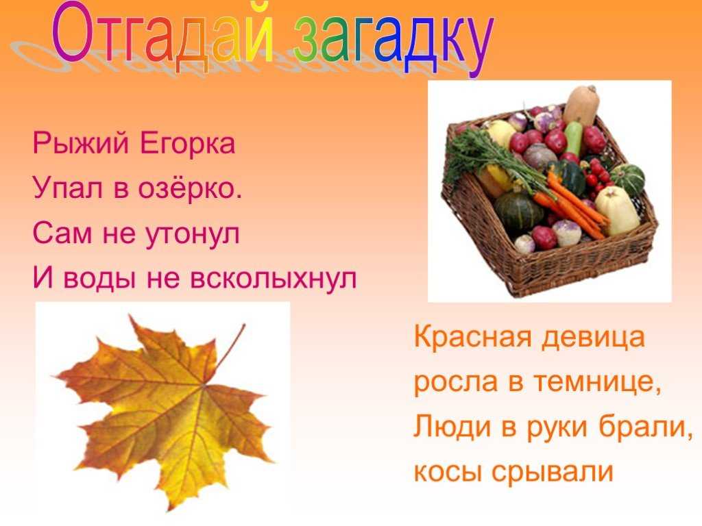 Загадки про осень с ответами – 70 самых лучших загадок – ladyvi.ru