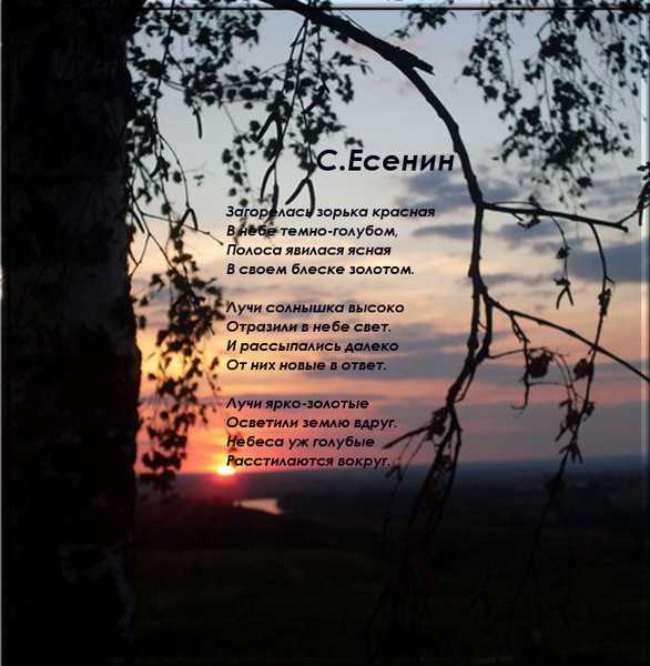 Стихи укроп - сборник красивых стихов в доме солнца