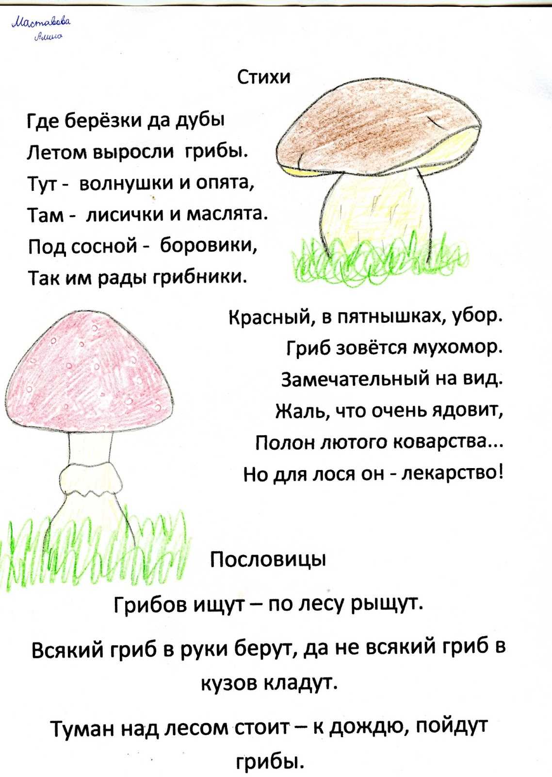 Стихи про грибы для детей | aababy - чем занять ребенка