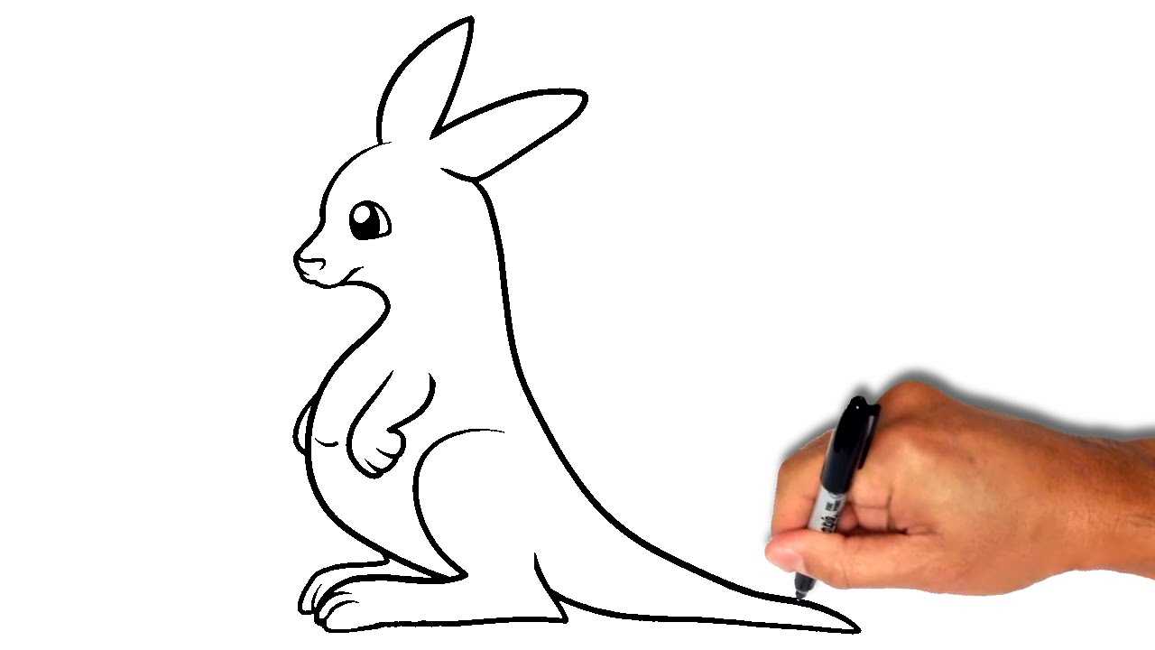 Поэтапно нарисовать кенгуру: как нарисовать кенгуру поэтапно карандашом для детей, для начинающих? уроки рисования для начинающих, мультики, раскраски.